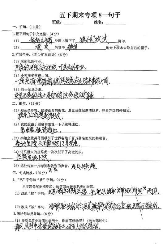 五下语文期末复习专项 8—句子改写与仿写