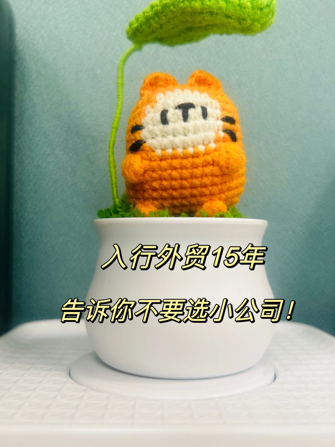 听说，外贸新人千万别进这样的公司！