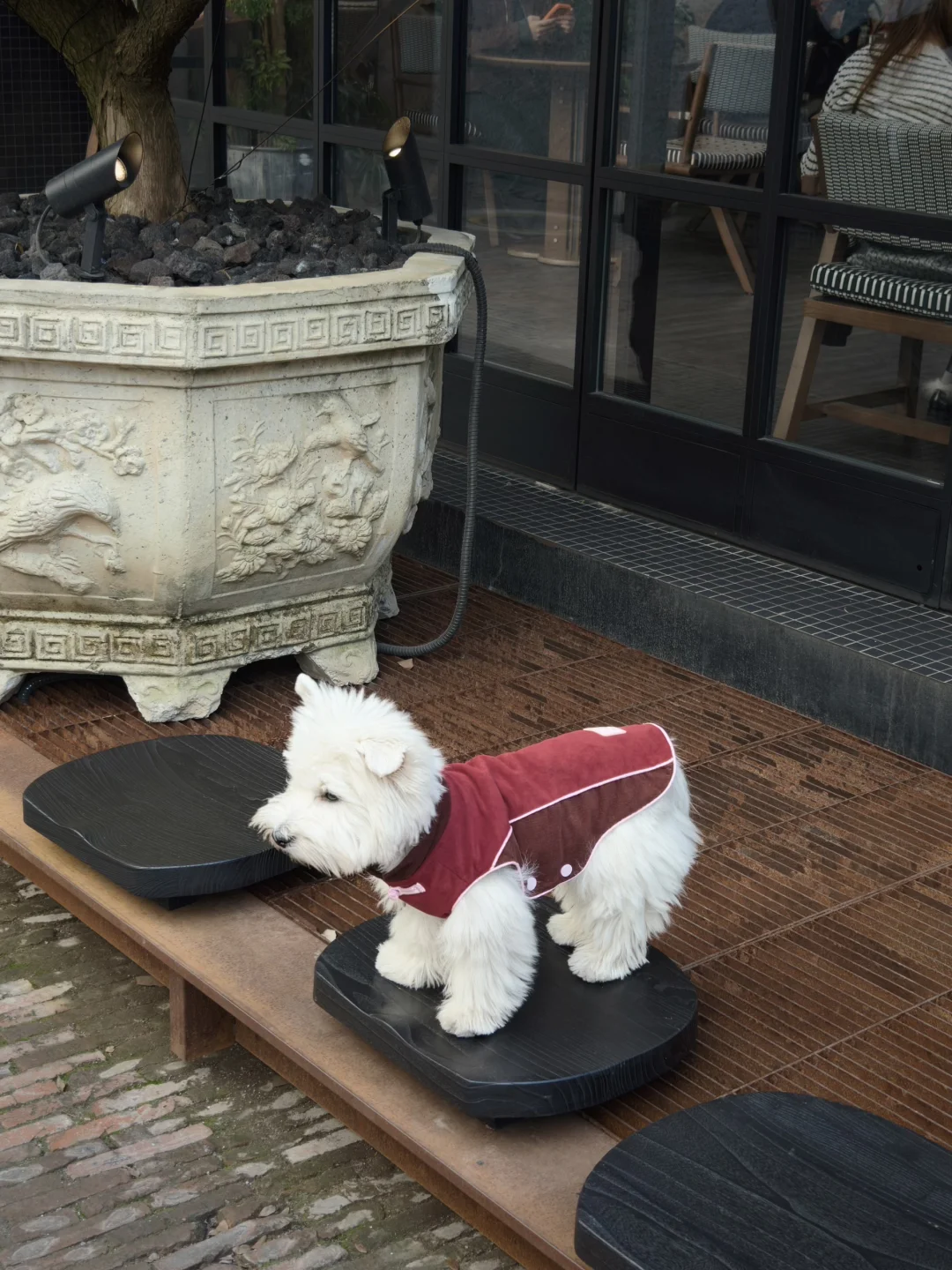 🍎冬日安可拉红穿搭ootd🍎