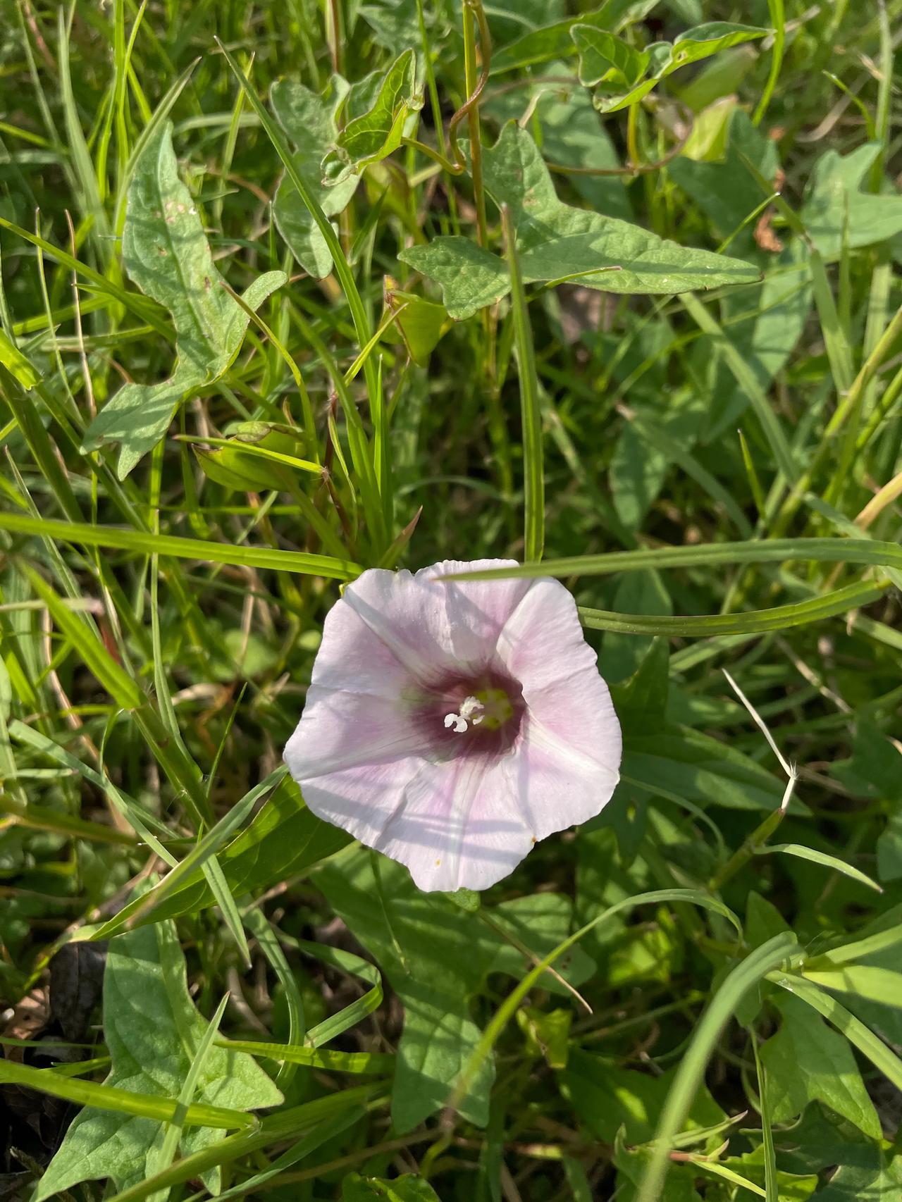 通过努力工作获得报酬，是对个人能力和付出的一种认可。当人们在事业上取得成功，获得