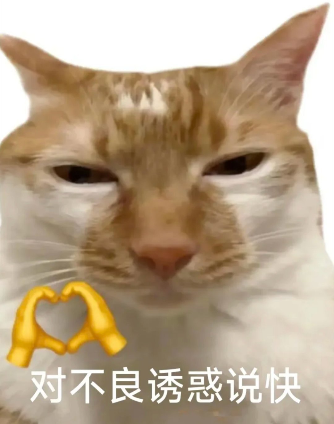 栩你渝生 算了既然东北已被雪藏连这个浓眉大眼的东北人都叛变了，别的地区需要投的请