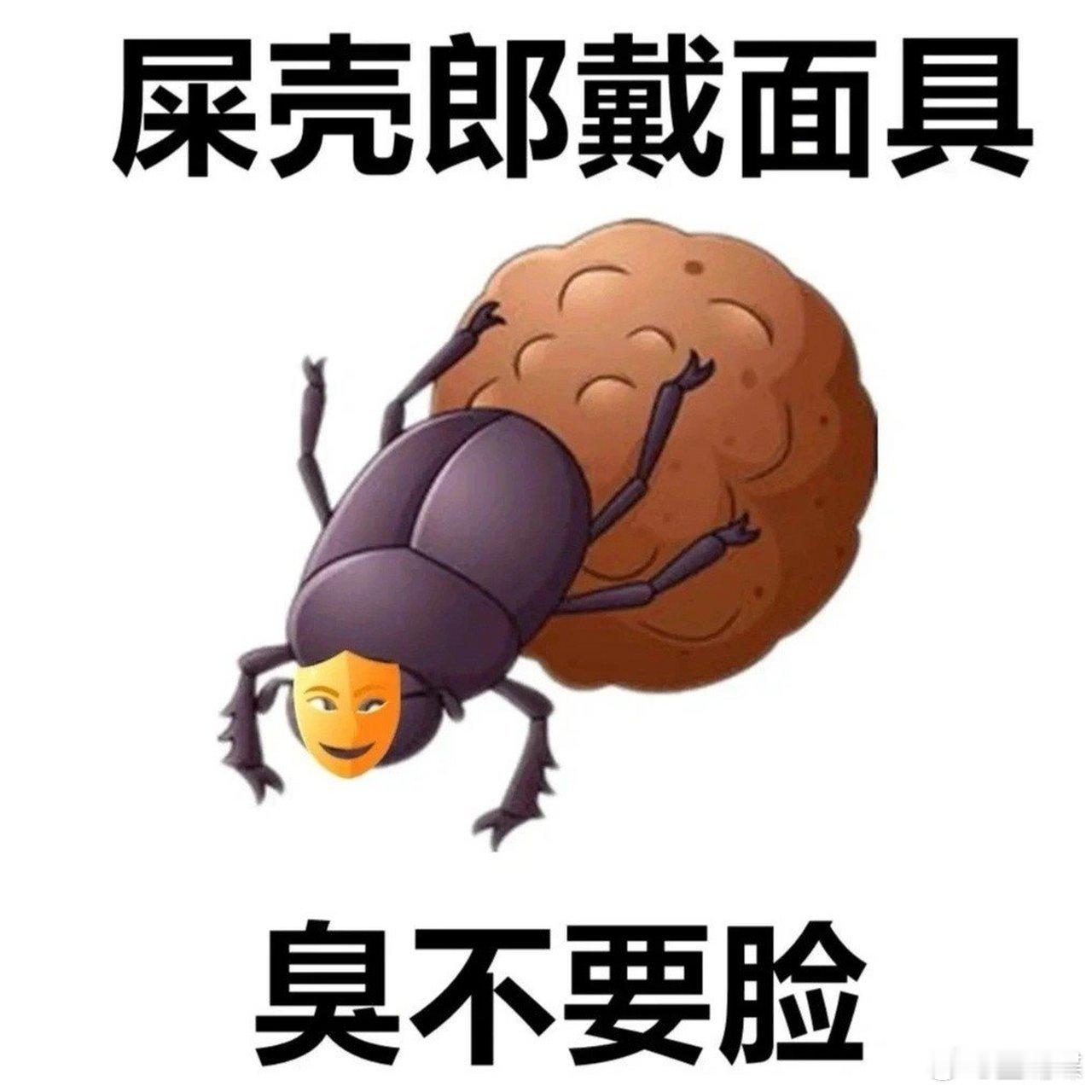 张兰回应喷子  张兰我招谁惹谁了  望有关部门，能早日全网禁言这位来自异国的老年