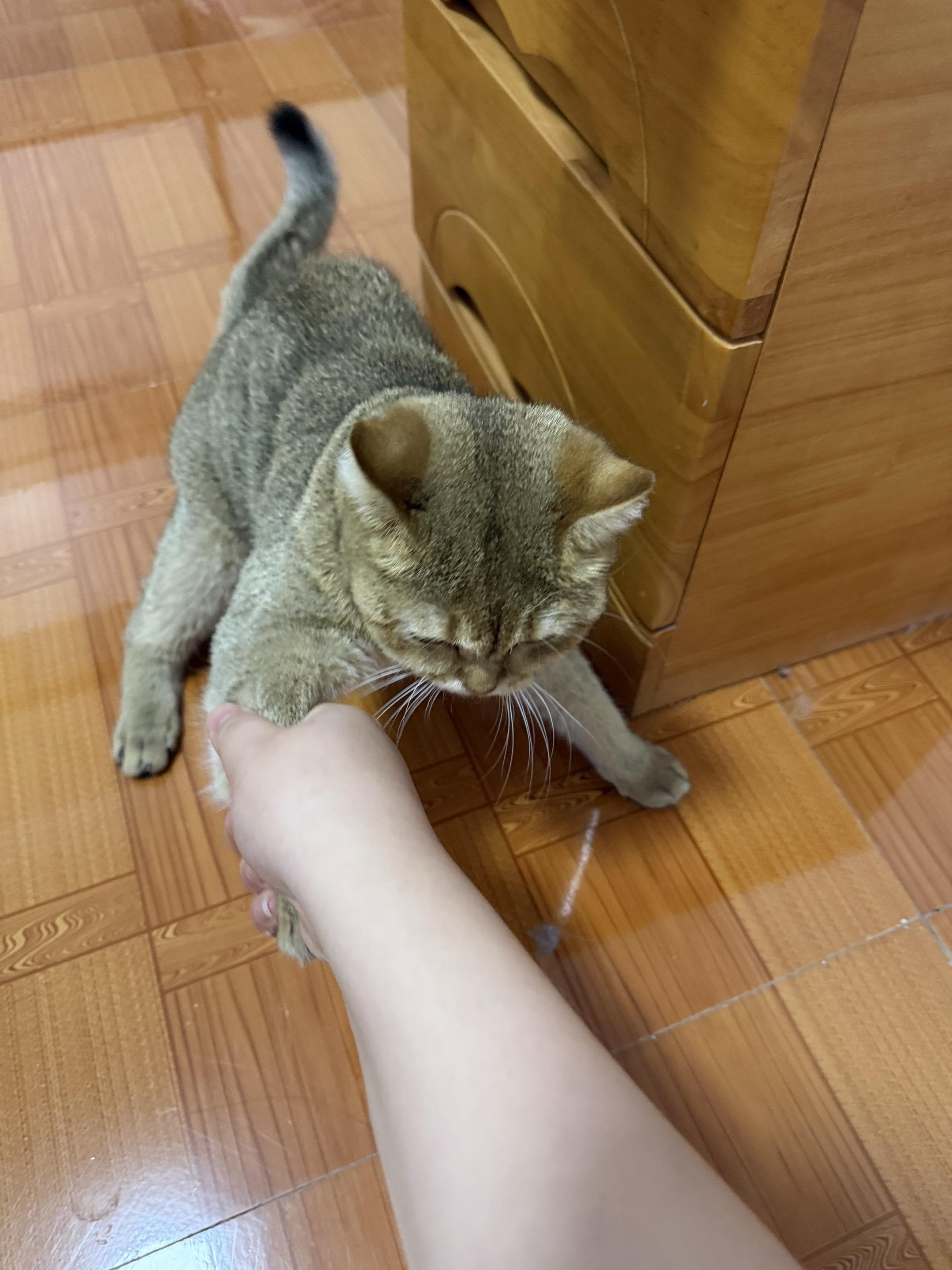 你内天干嘛 拉着我的手