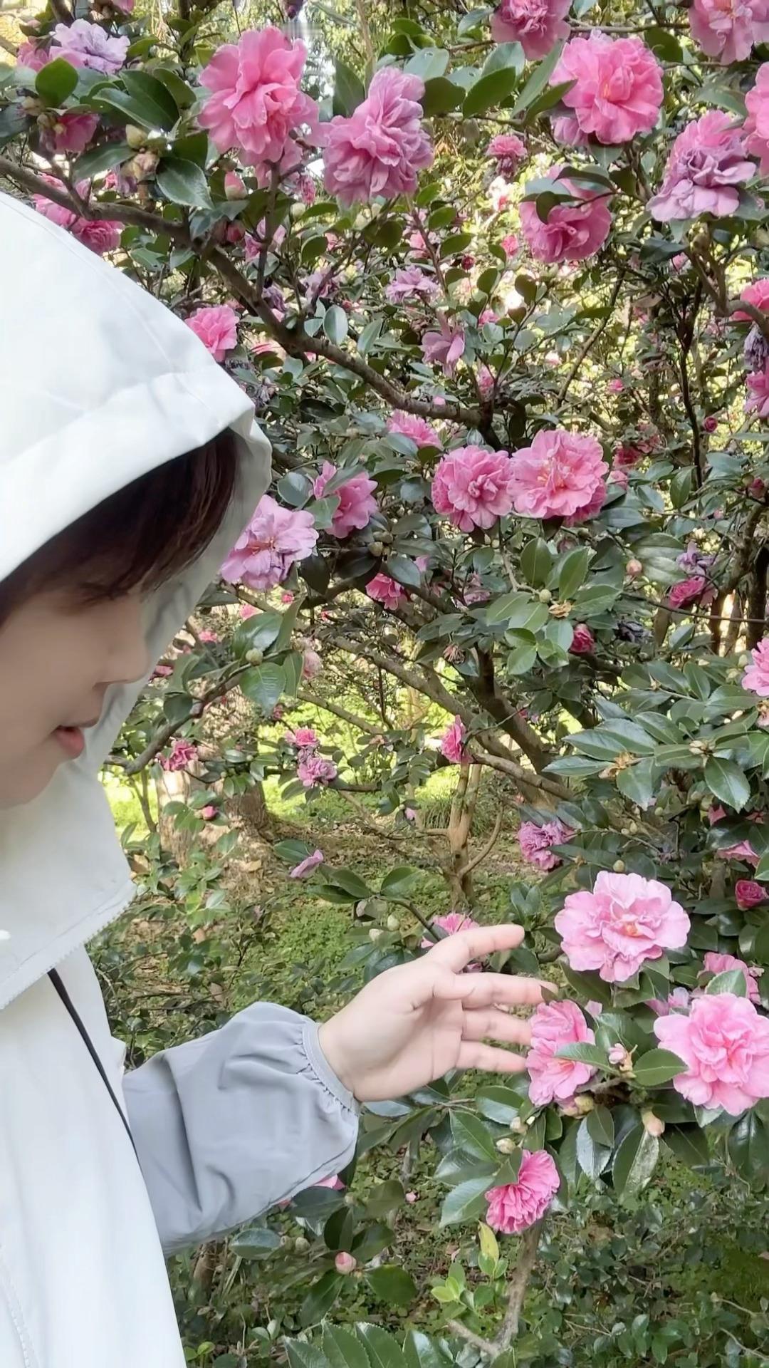 每日一善  认真活好每一天，因为在生命中我们没有第二个今天珍惜眼前人。 