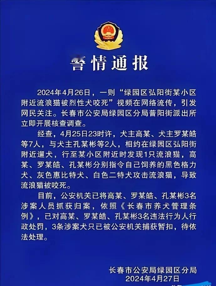调查清楚了，是多人涉案！几名大男人居然指挥着自己的烈性狗，把一只流浪猫活活咬死，