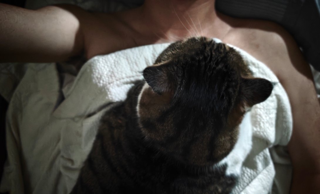 早晚被猪压死 