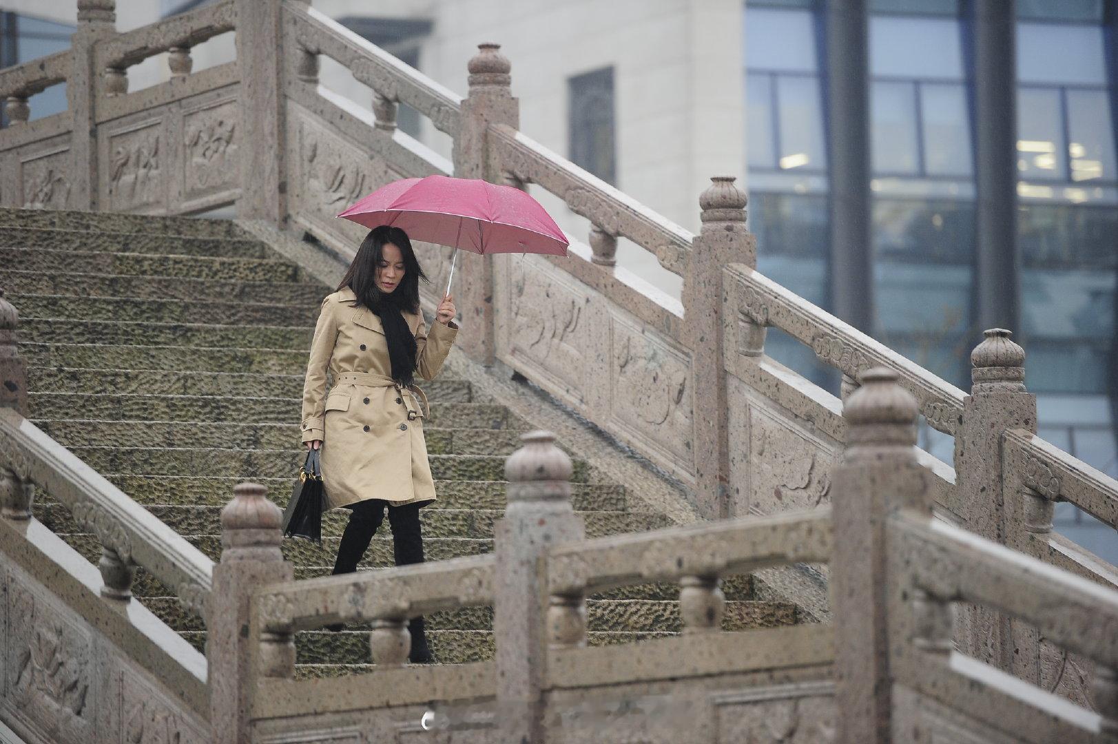 再来一张风雨送春归许盈花絮  