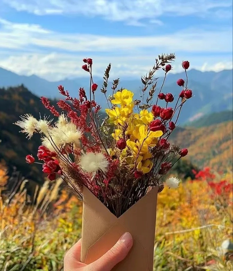 生活里的善意藏在细碎点滴之中。多一份包容体谅，少一点戾气争执。谨言慎行好好说话，