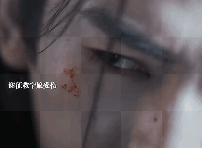 《逐玉》谢征为拼死保护长宁，长宁吹响长哨向阿姐求援，樊长玉赶到先救走长宁，谢征是