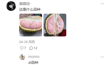这是什么品种 
