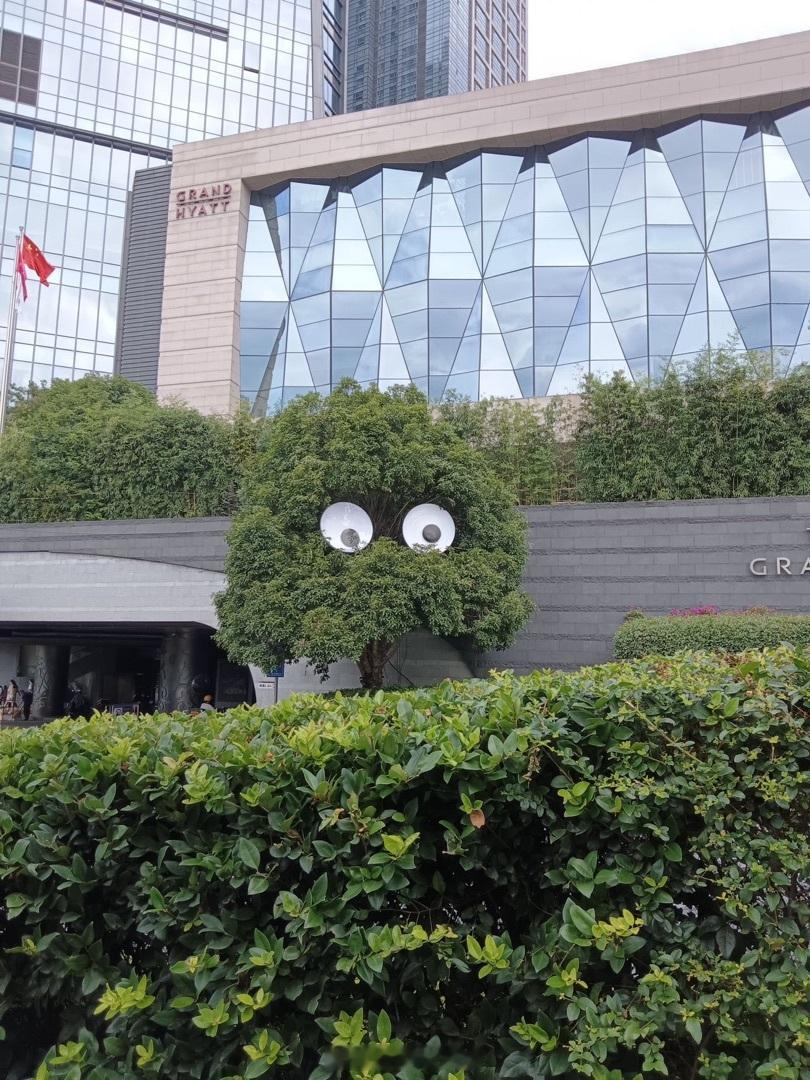 罗永浩痛批电信宽带缩水我肯定是强烈支持的！！！同事们同样被困扰～ 