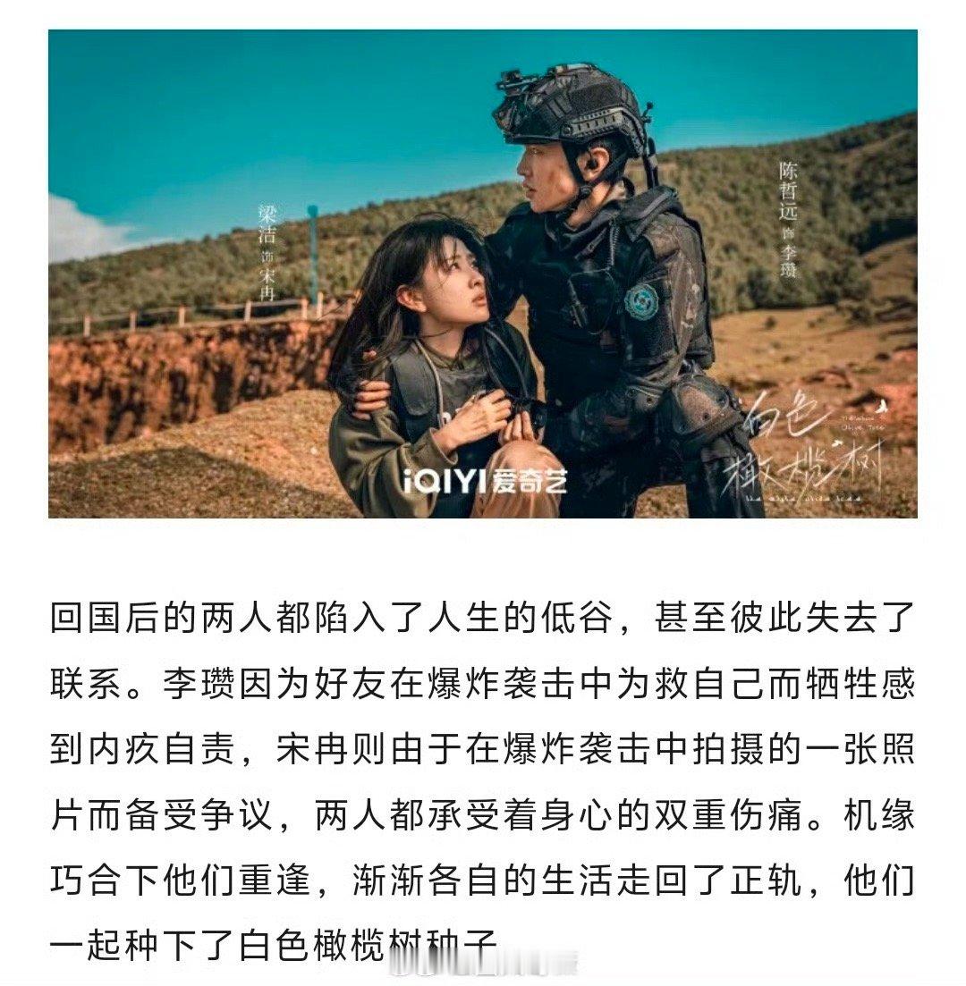 陈哲远白色橄榄树招商 哇哦！！！！陈哲远和梁洁两人合作主演的电视剧《白色橄榄树》