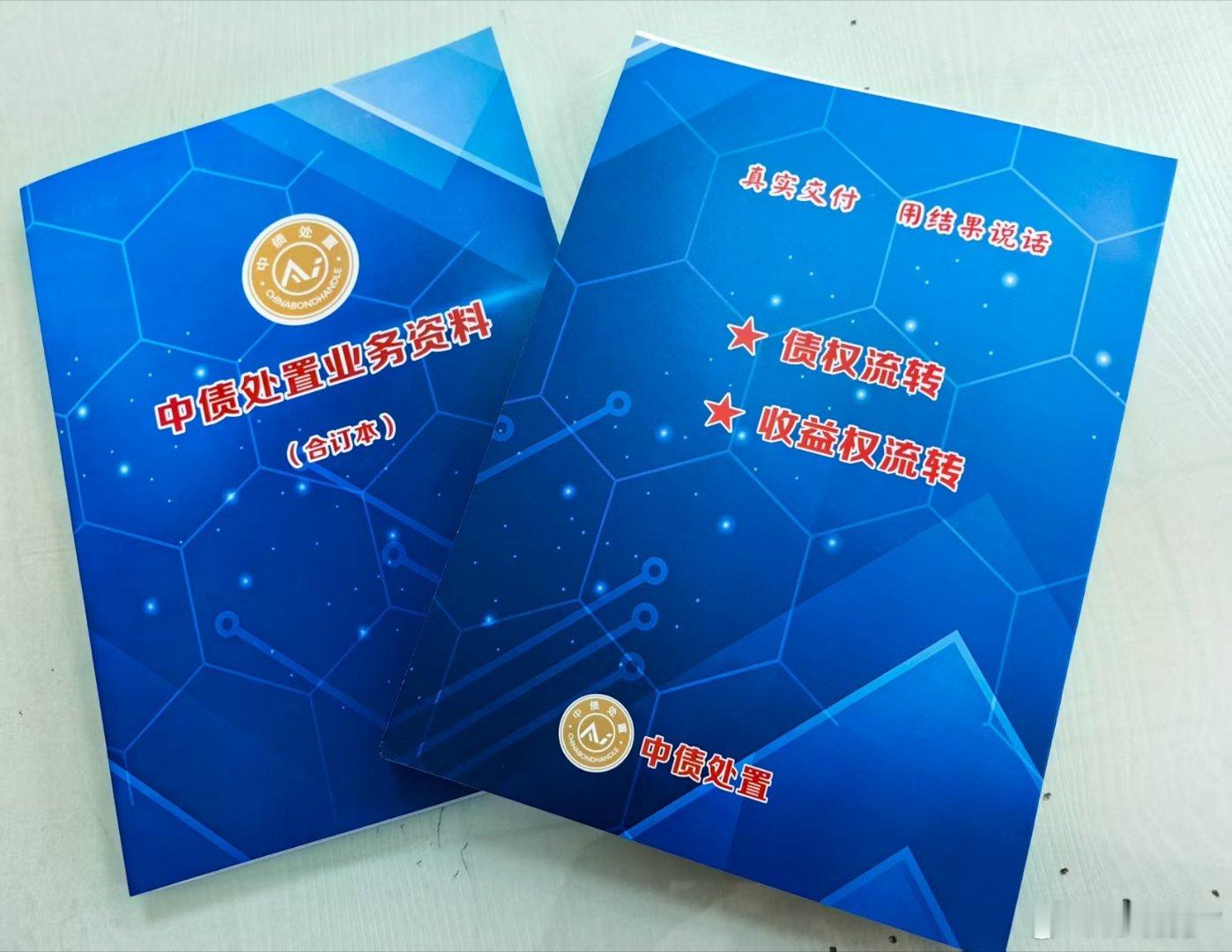 彭晓勇说中债处置真实交付用事实说话！社会趋势，时代风口，行业标杆，业界龙头，当选