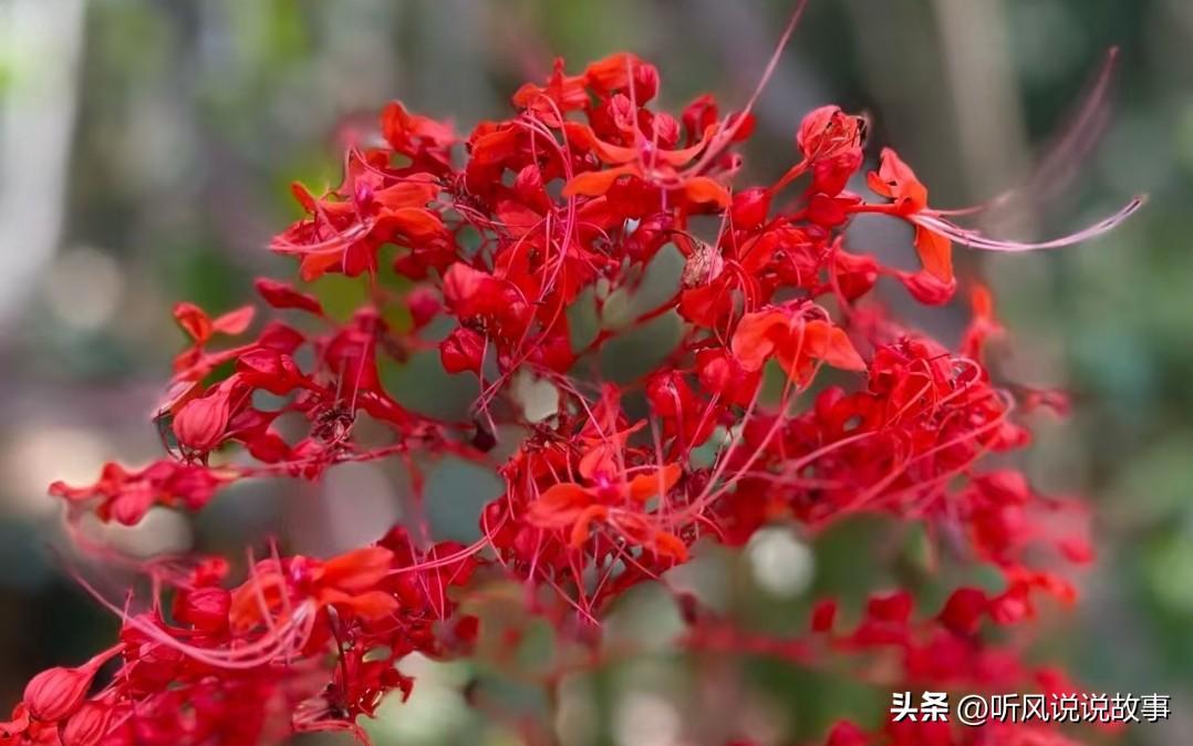 ❤️人容易陷入自证的误区

我看到两小故事很有意思，发现自己的思维一直都挺固化的