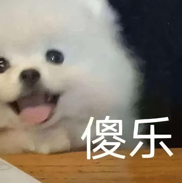 人毕业了猫咪还没毕业有人奔赴山海开启新的人生旅程，校园里的小猫依旧守着一方天地，
