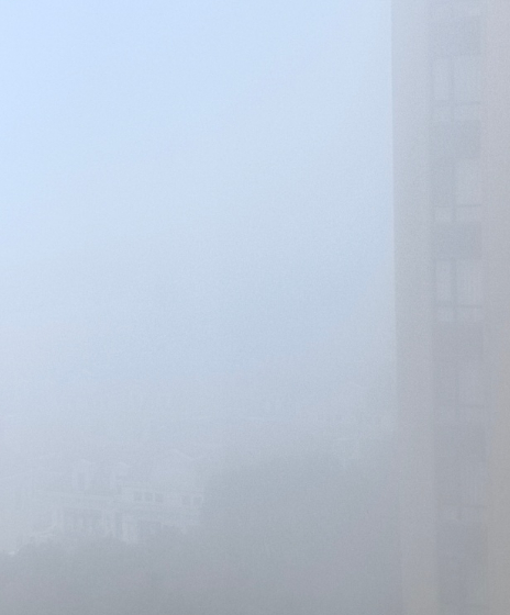 上海大雾 2026年1月16日凌晨，上海遭遇今冬最强浓雾侵袭，崇明区于06:33