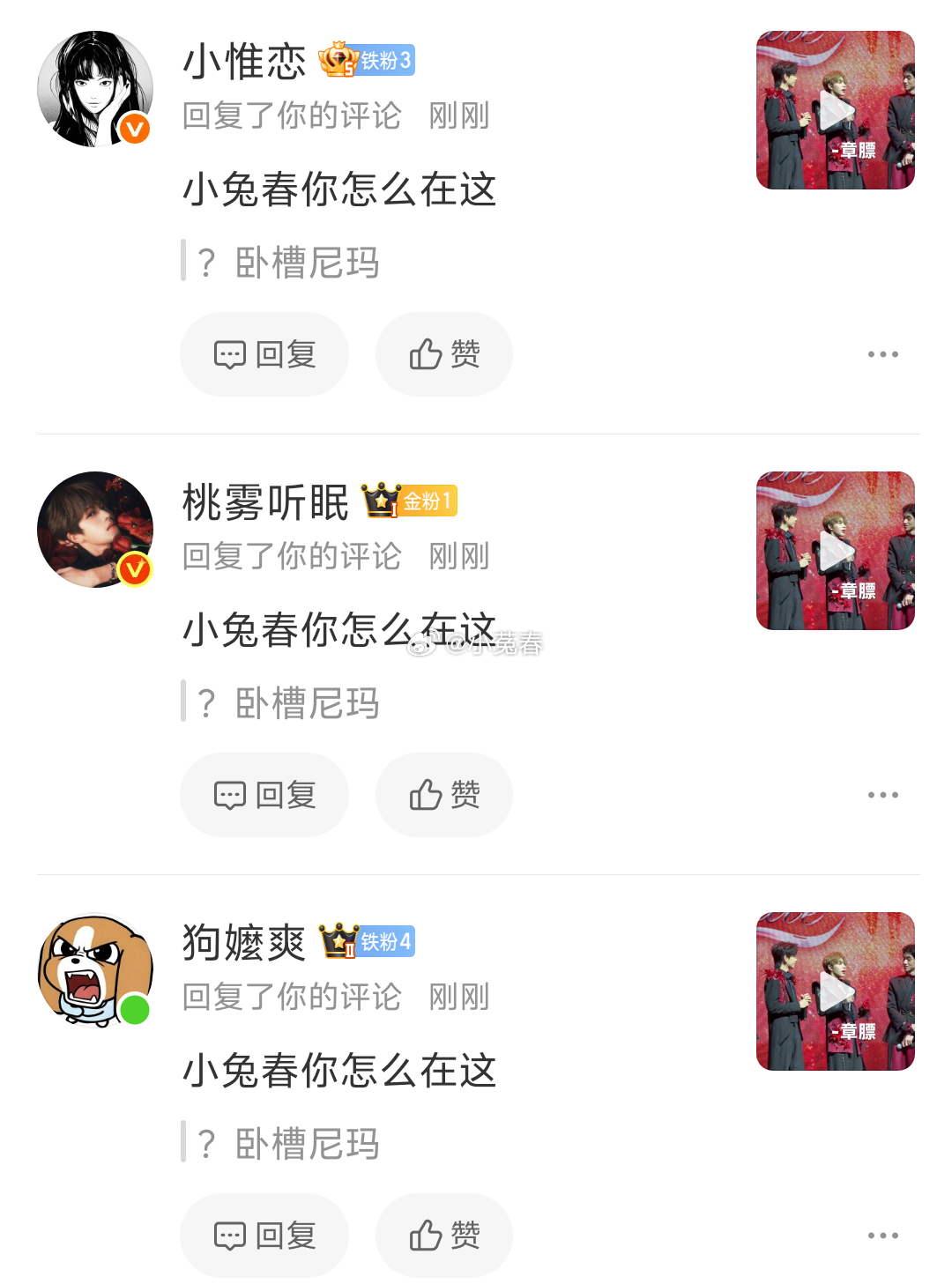 小兔春听说你很有名。 