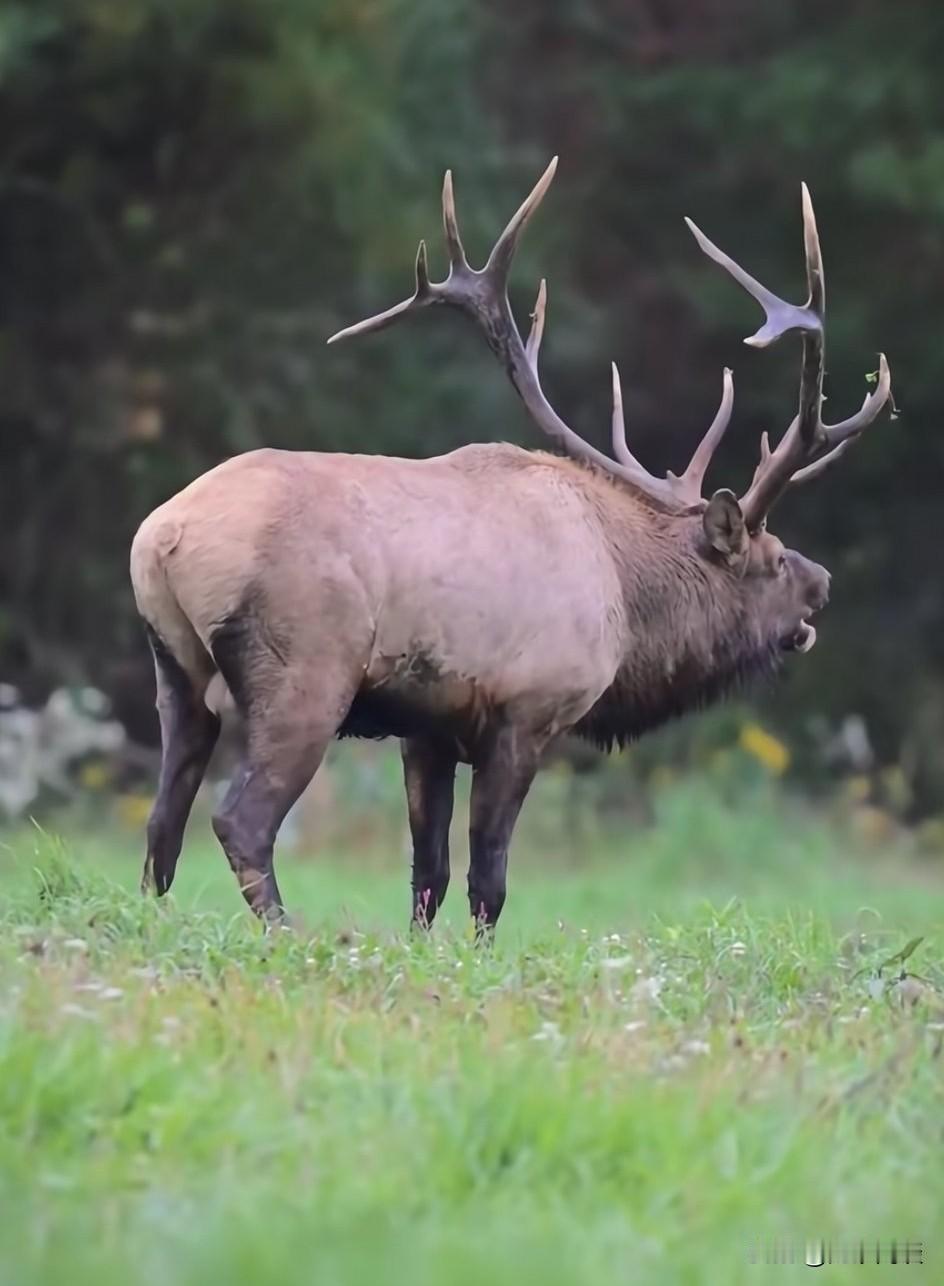 有人说，明朝末年如果崇祯换上朱元璋或者谁谁谁那个开国帝王来才能挽救。有一个扎心的