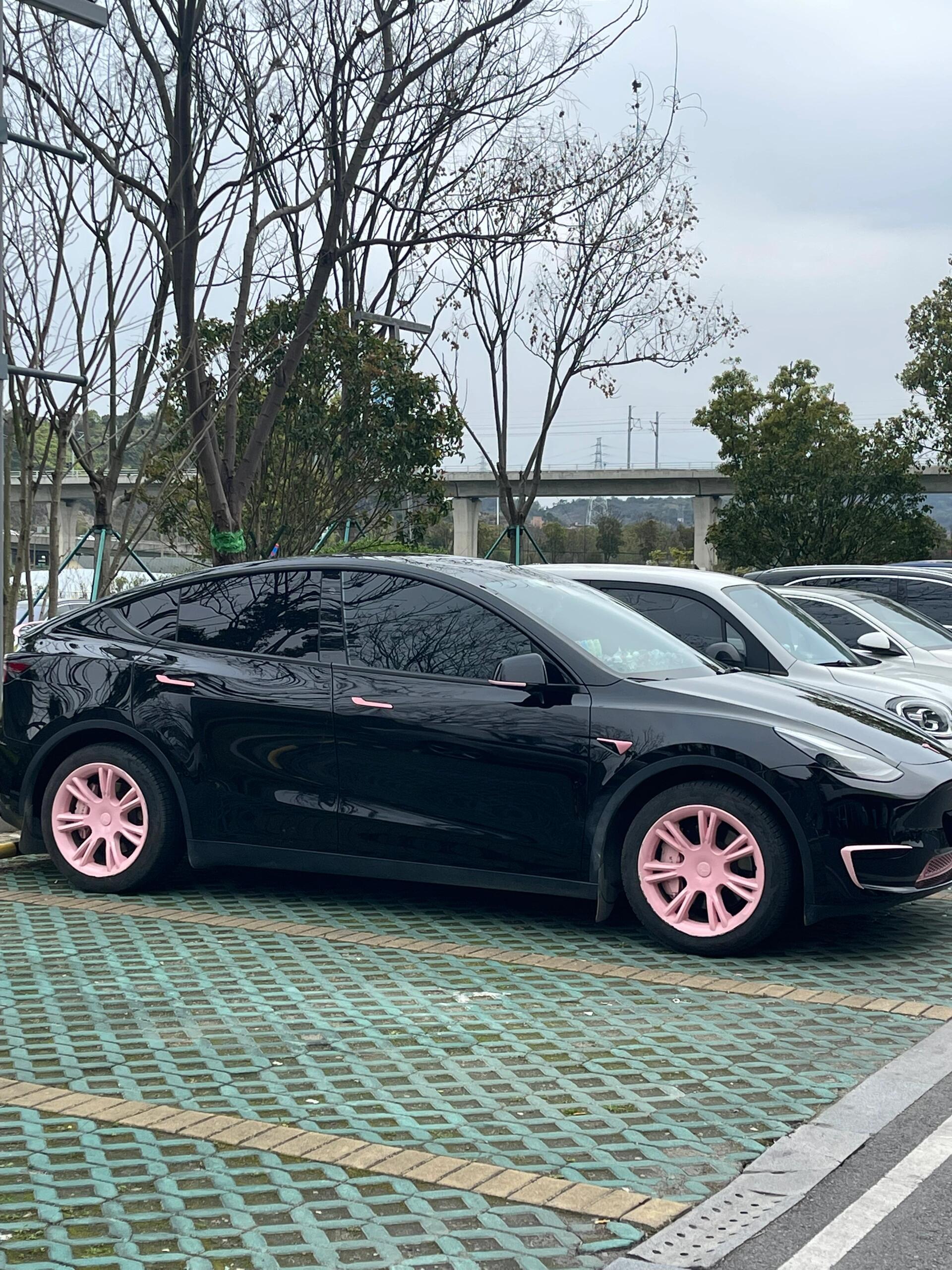 停车场里严重超载的Model3，要我说就该在车门写上核载动物数[doge] ​​