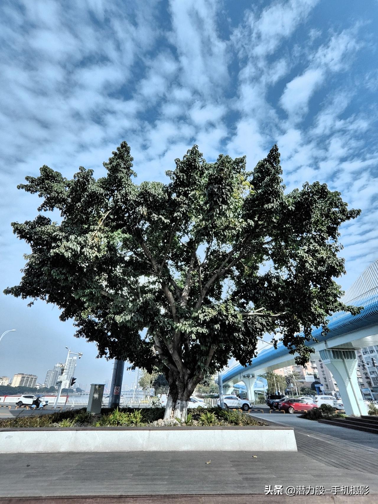 分享一张相册里随手拍的天空