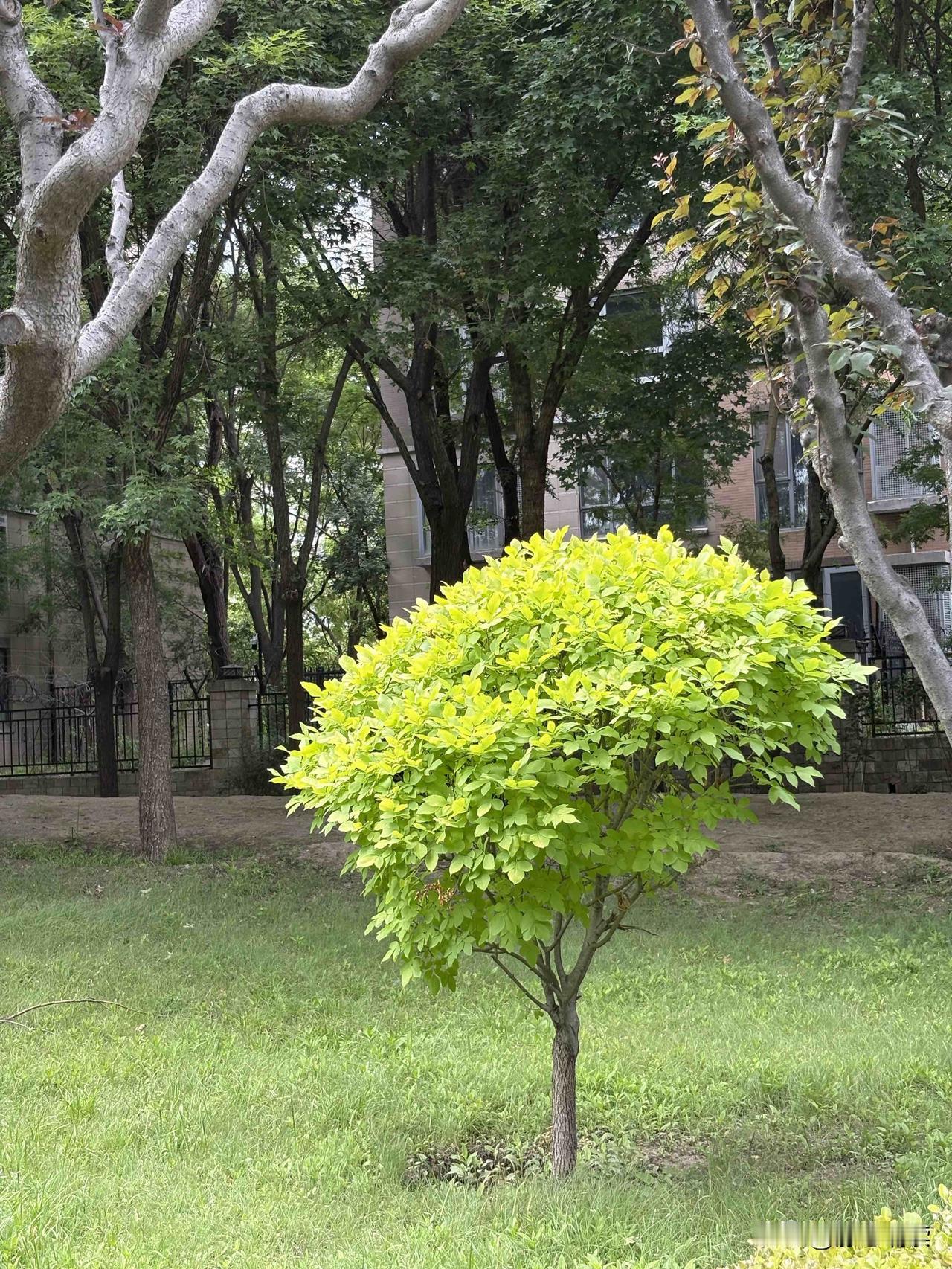 故而夏天我很少出门，待在家中吹着空调，把热浪阻隔在门外。
然而，若不出门，便无法
