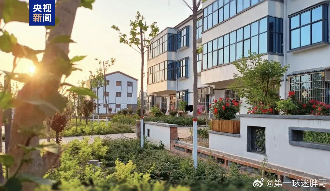 两会观察团这三位河南代表的绰号大家都知道这三位绰号响亮的河南代表分别是“麻花书记