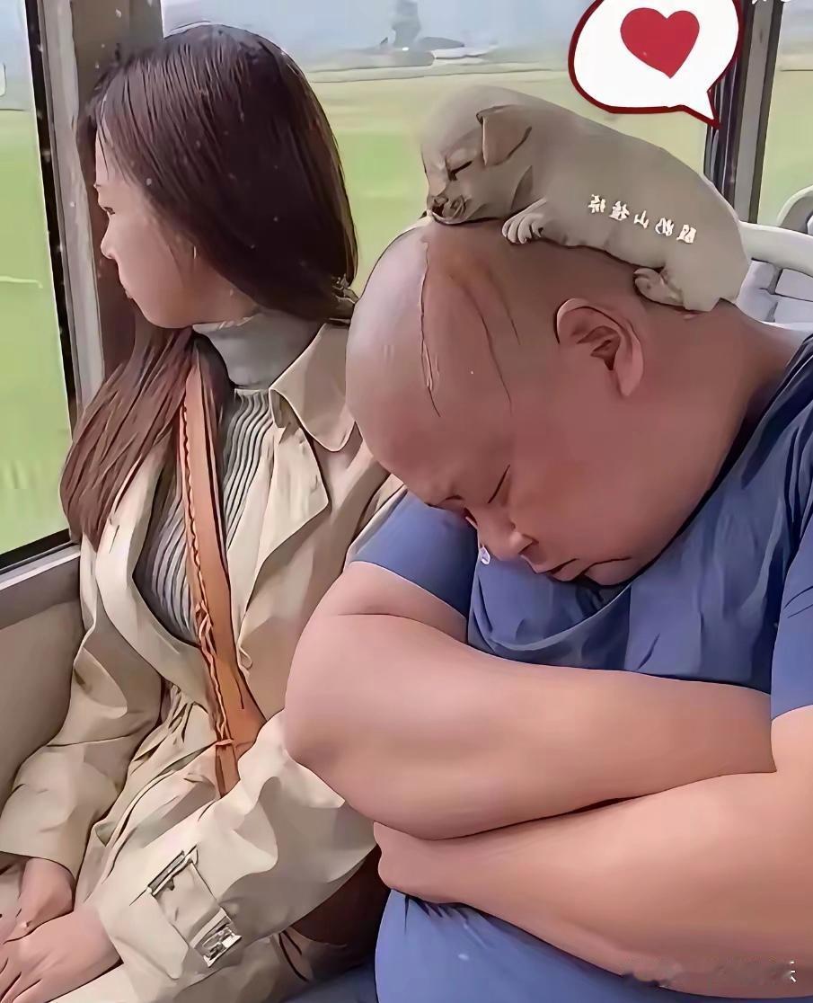 看看把旁边的小姐姐嫌弃的[捂脸]大哥还睡的可香了