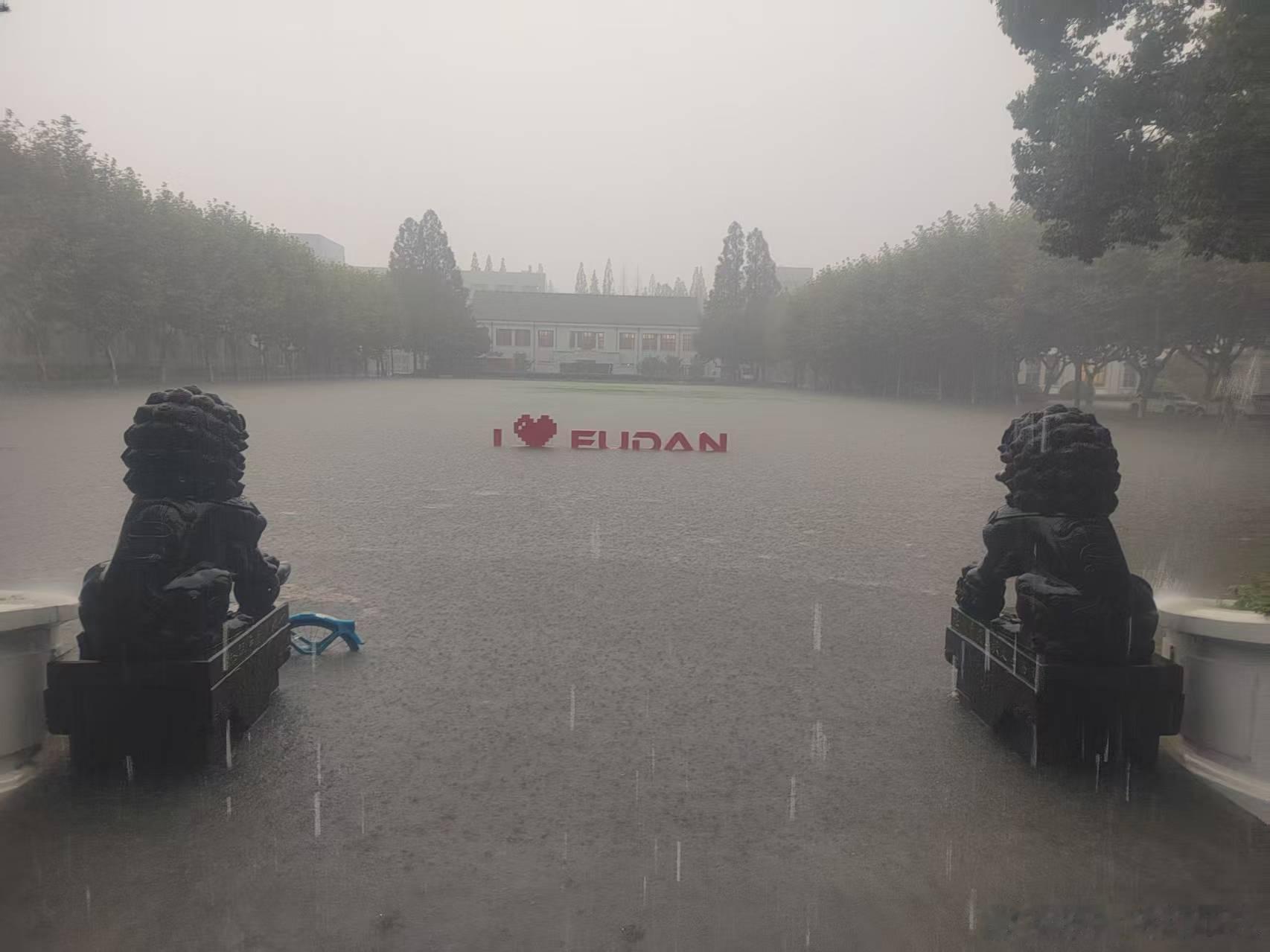 我在复旦看海 