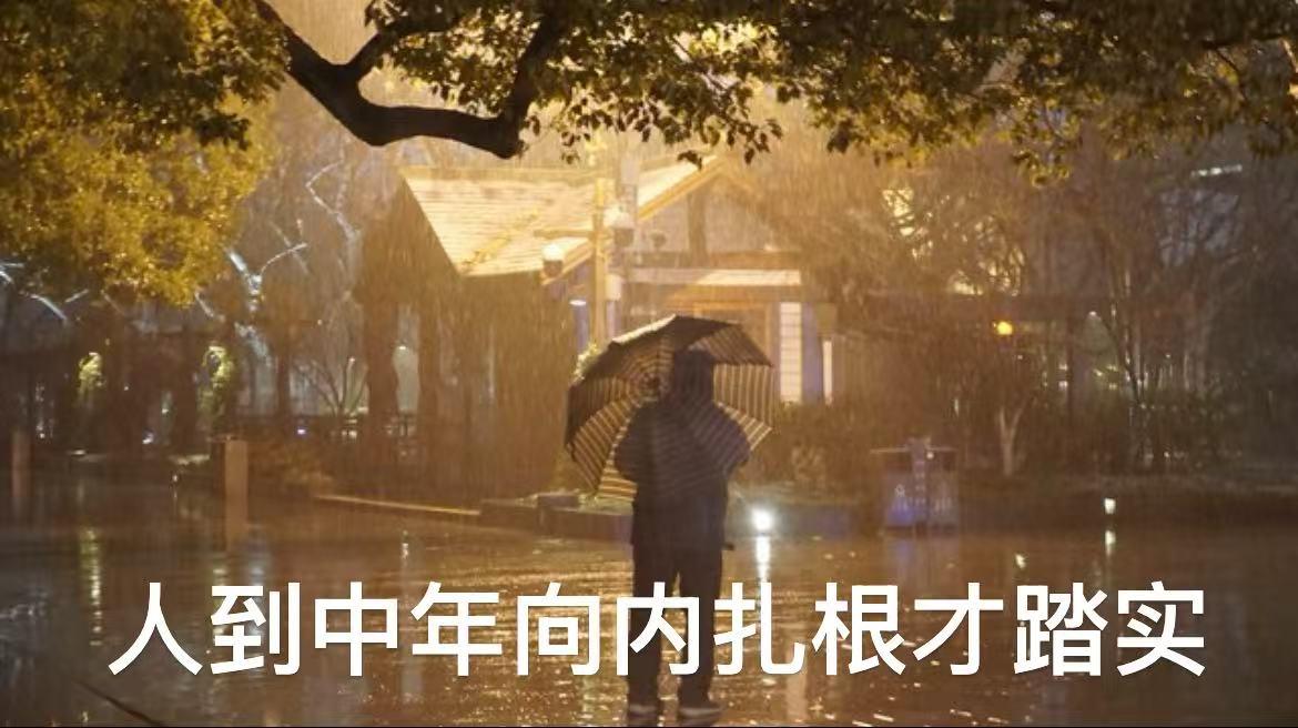 中年人，最顶级的能力，就是学会自愈。

学会过滤情绪，消化委屈，稳住心态，好好生