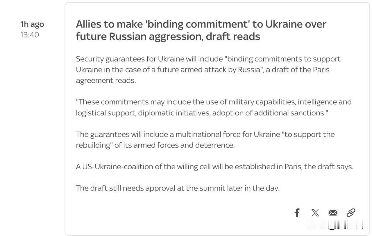 “群中群”与“具有约束力的承诺”：“意愿联盟”峰会达成了哪些共识
 
天空新闻报