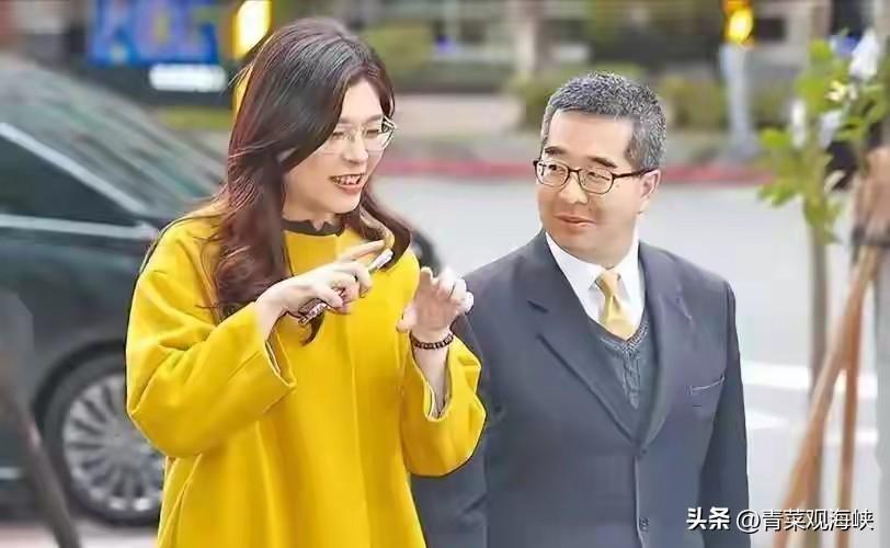 郑丽文下场直接开骂，矛头直指金小刀，力挺萧旭岑

马英九基金会这场风波，郑丽文一