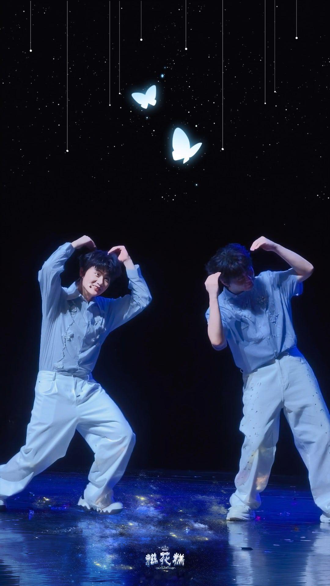 双高胎  蝴蝶🦋 