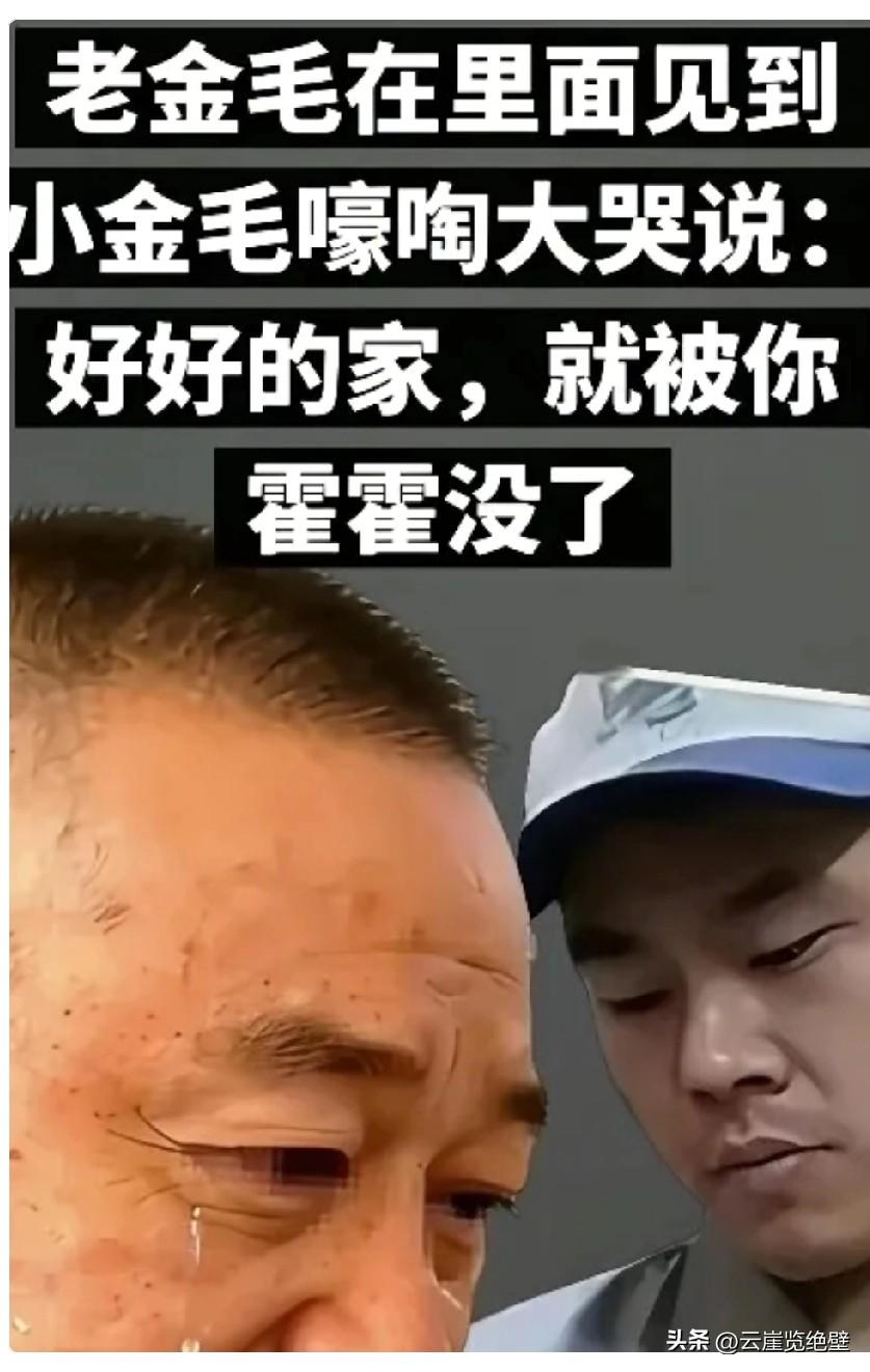 老金毛在里面见到小金毛嚎啕大哭说：“好好的一个家，就被你这样霍霍没了！”。

听