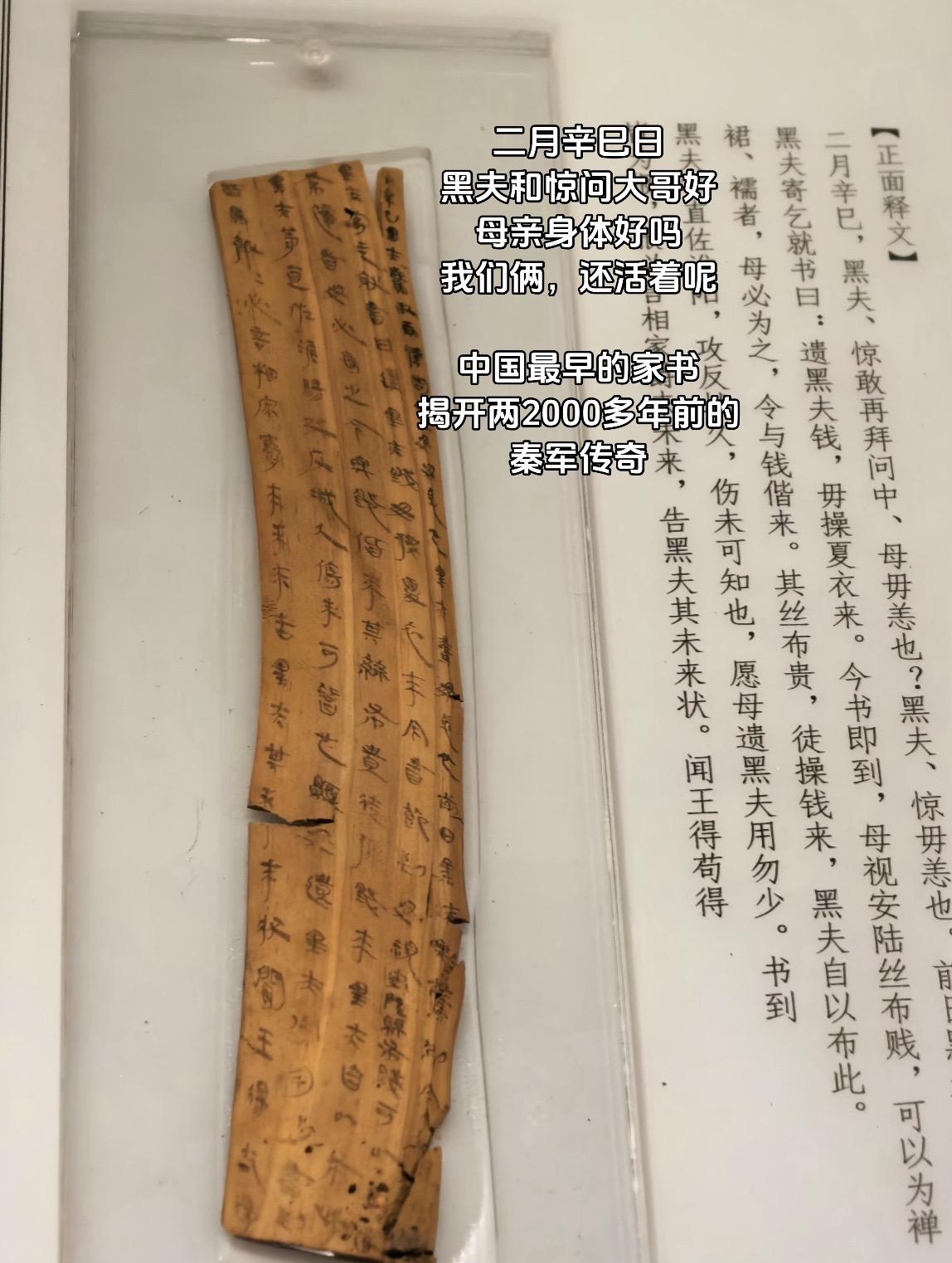 公元前223年，秦王政派大将王翦率60万大军攻打楚国。 黑夫和惊为了谋...