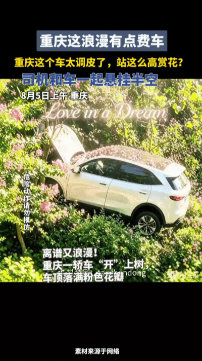 浪漫！堪比影视镜头！重庆早高峰SUV失控腾空悬空，现场太惊险⚠️……
 
太惊险