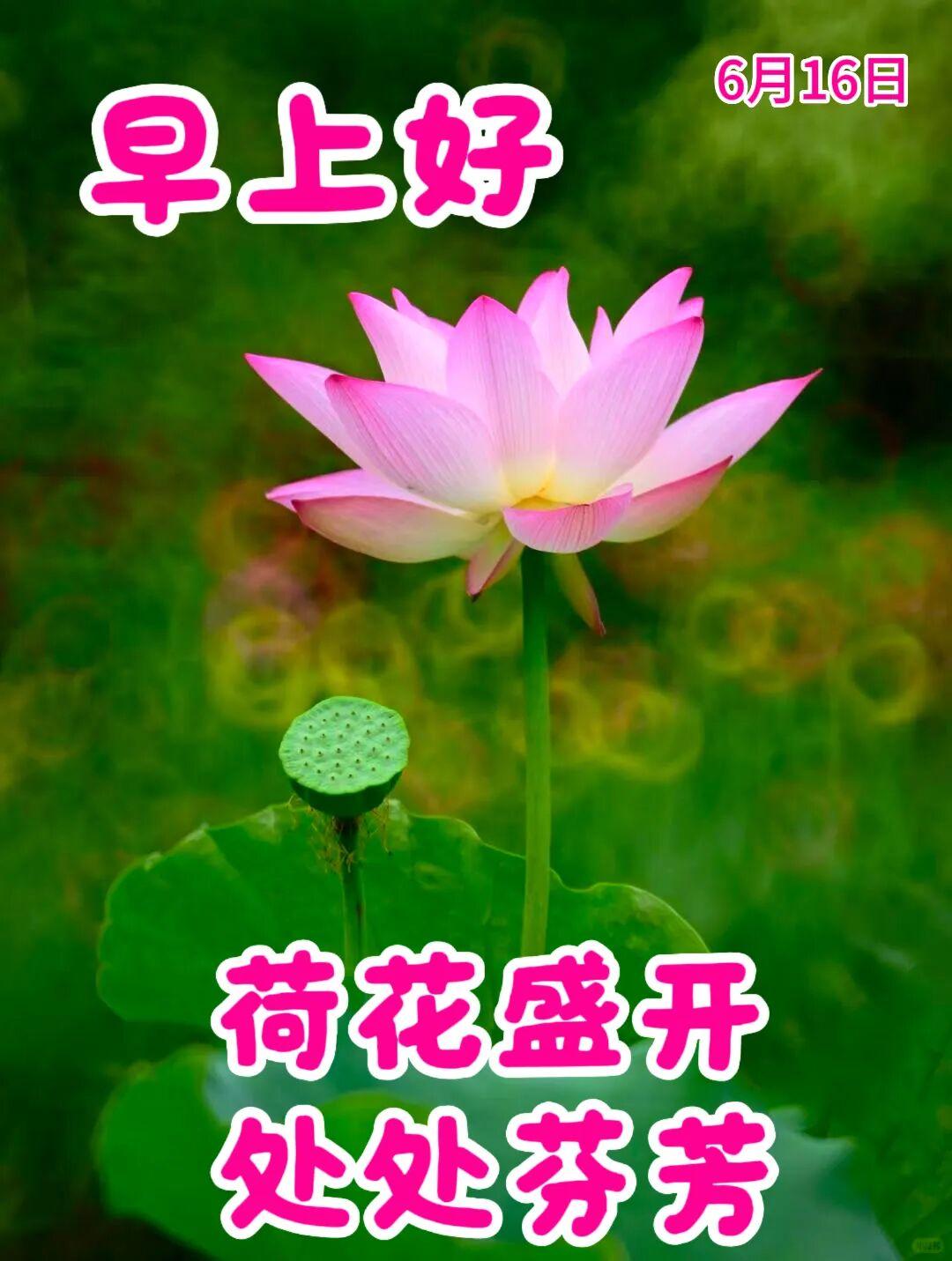 别问几岁，开心万岁！虽然咱们存款不多，但快乐很多；头发少了，智慧长了。今天的任务