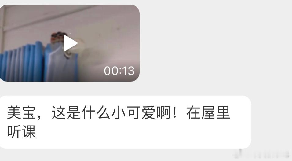 飞教室里的三只【红头长尾山雀】[开学季]大概是屋里暖和 ​​​