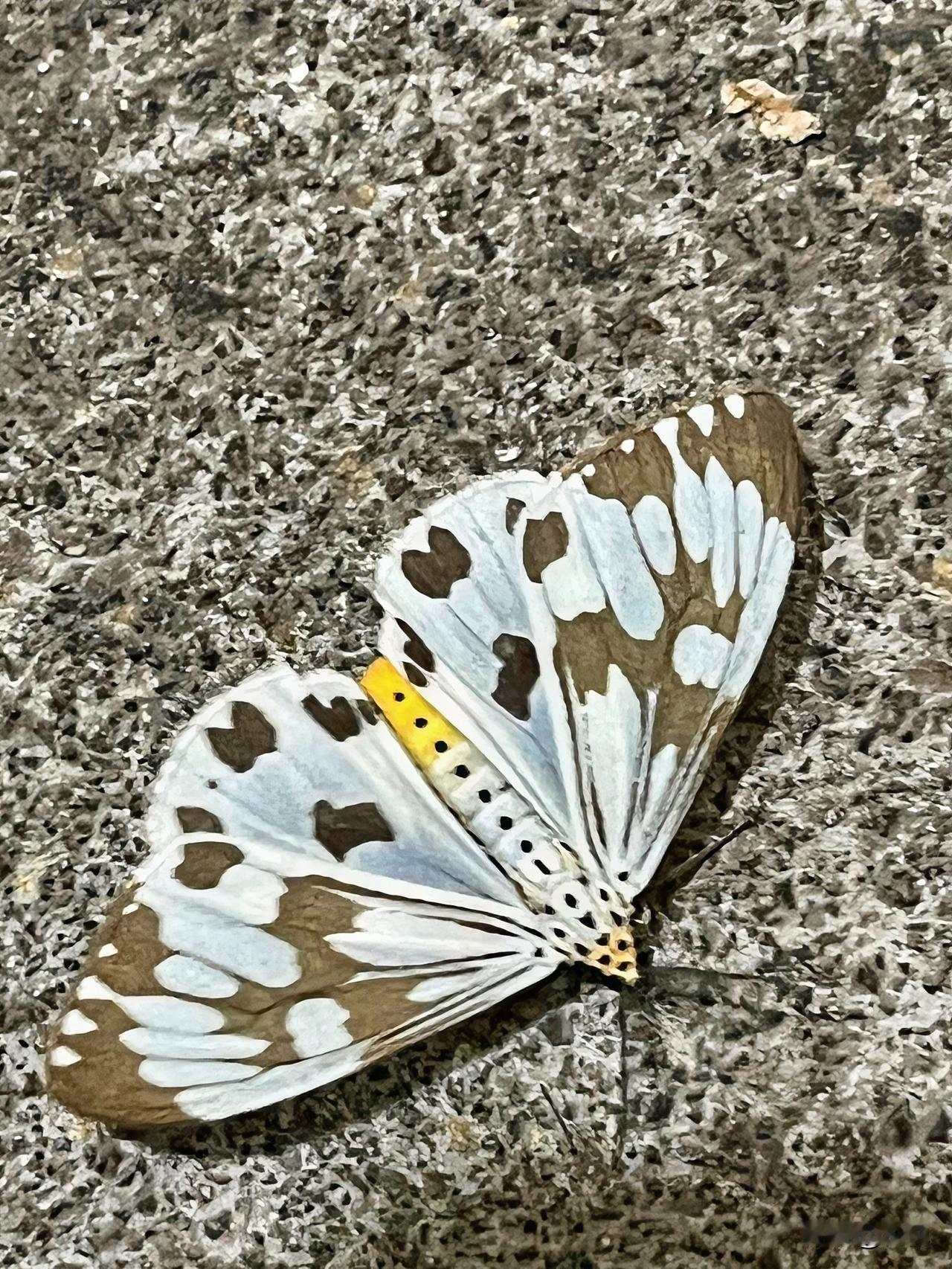 亲情与友情：人生路上的双重温暖

亲情是刻在骨子里的羁绊，从我们降生起便如影随形