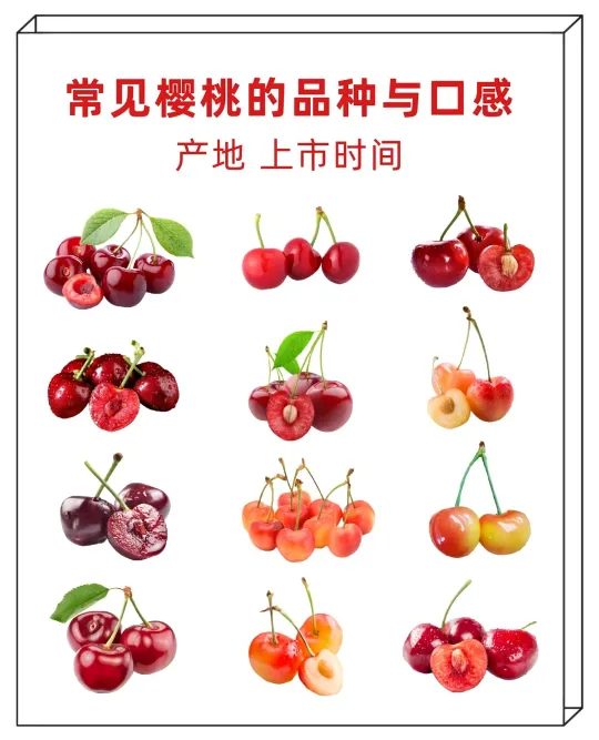 🍒樱桃品种大赏 | 口感、产地、上市时间全揭