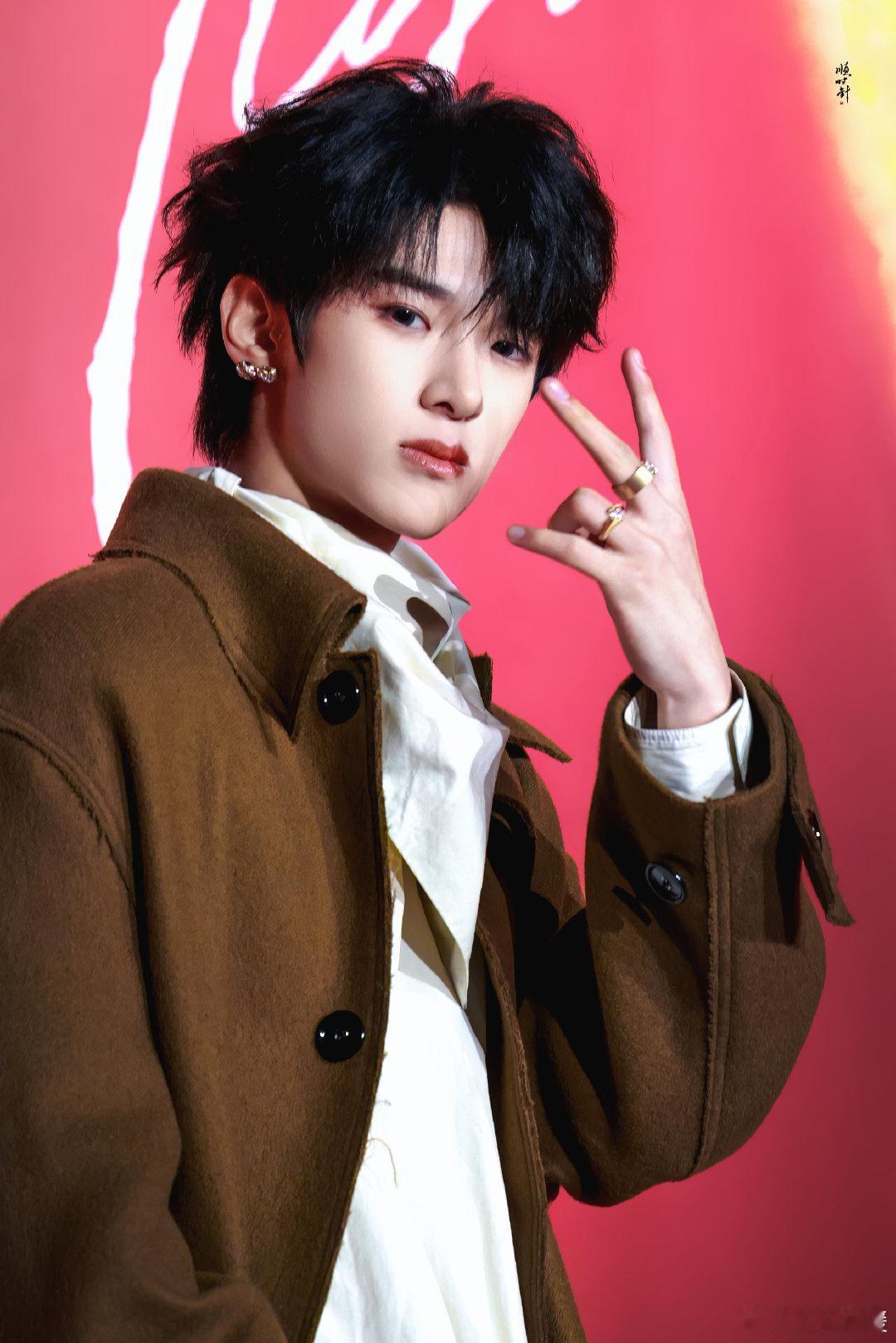 张峻豪把红毯走成秀场张峻豪在红毯上大放异彩。一身棕色大衣，走出了专属的时尚步伐，