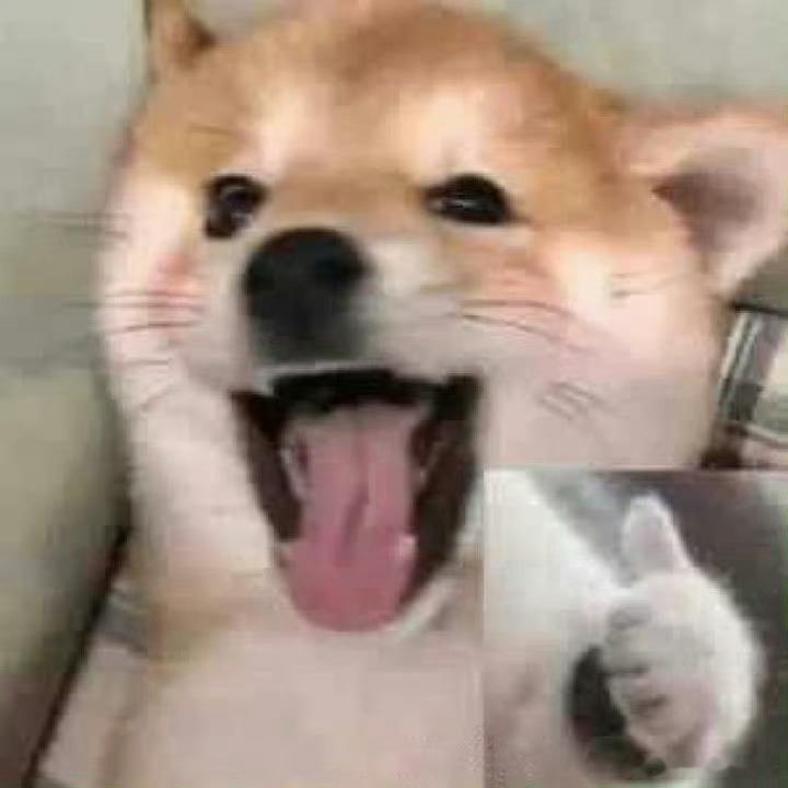 晚安💤晚安[超话] ​​​