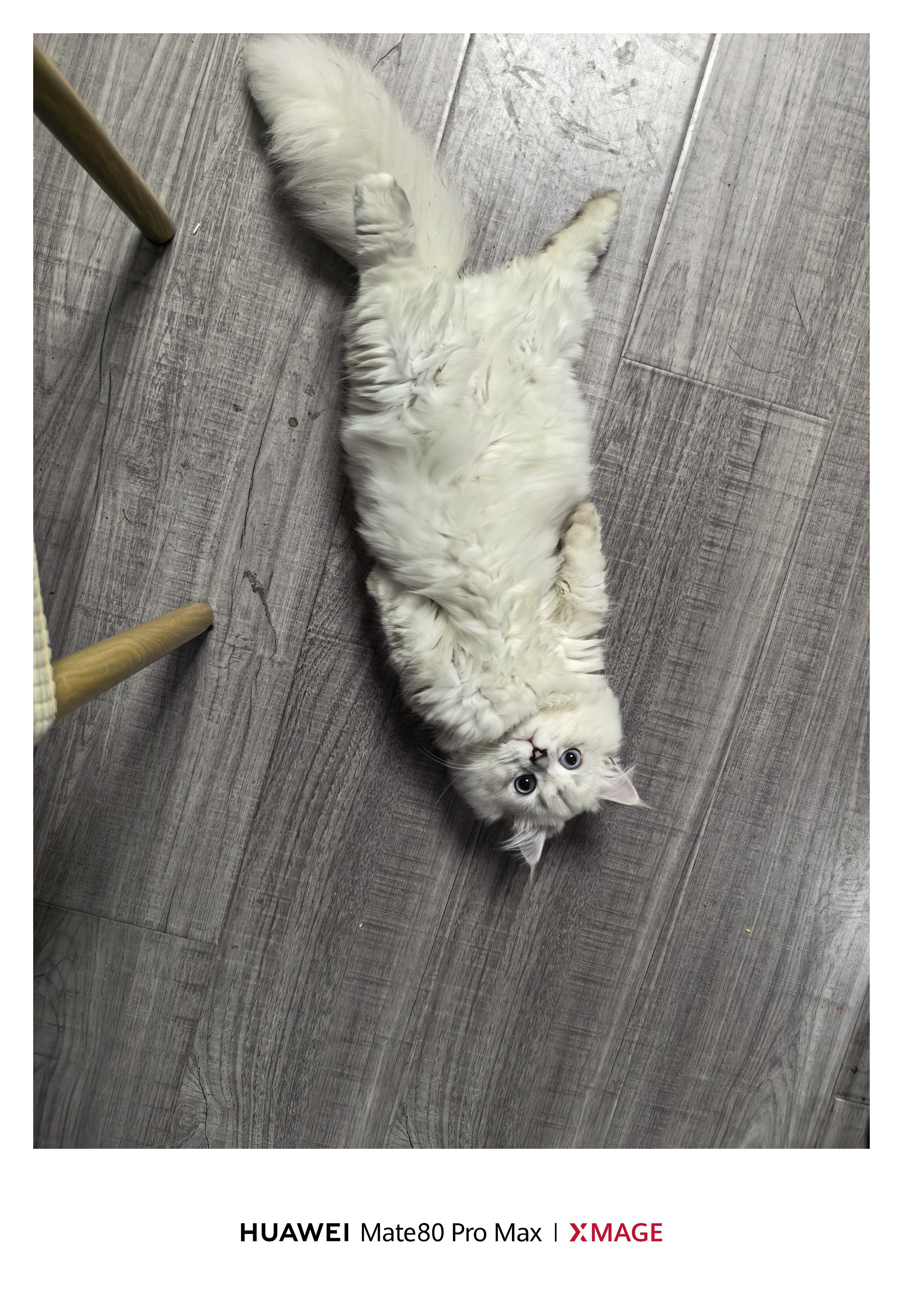 这是咋了，我刚一回头他这样躺着