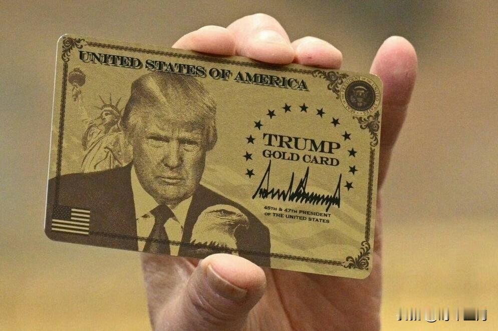 特朗普金卡12天内售出价值13亿美元
12月10日以来，特朗普政府已售出超过13