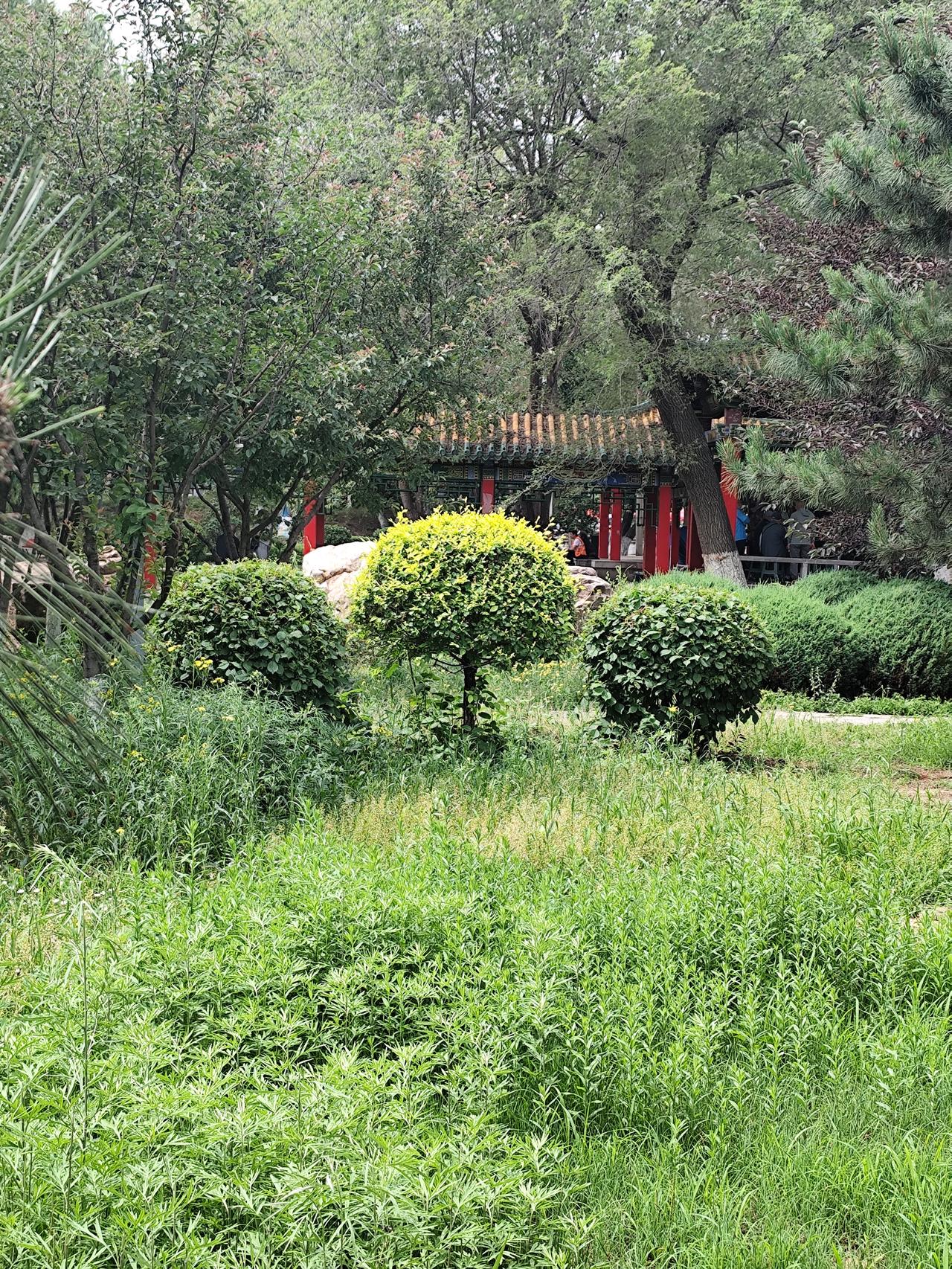 夏日天气炎热，人们都在寻找乘凉之地。小河边、树林中，都是不错的选择。