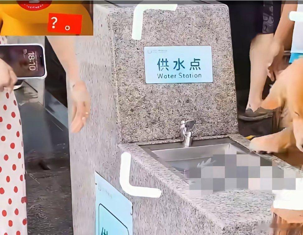 深圳湾公园回应狗喝直饮水从卫生常识来看，犬只口腔、爪子携带大量沙门氏菌、弓形虫、