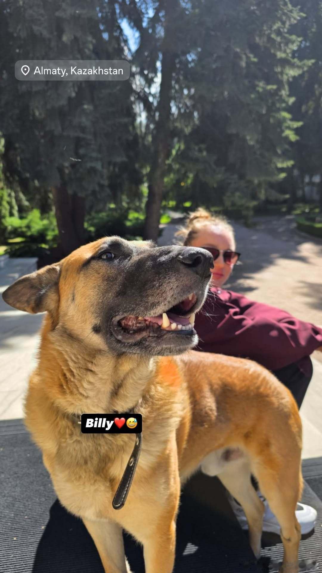 莱巴金娜🇰🇿新宠billy？娜娜刚闪现更新动态，我正在发佩古拉退中网，去看了