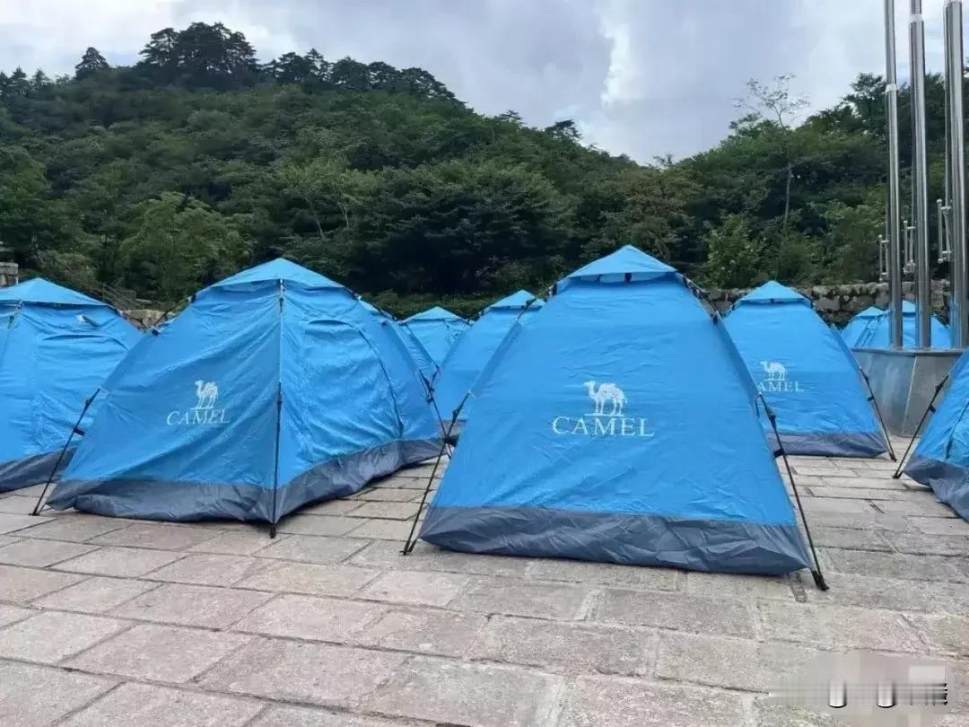 好消息！黄山山顶能租到帐篷了！
那年五一爬黄山，想住一宿看日出，无奈囊中羞涩，问