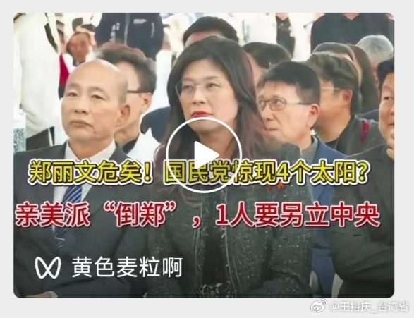 与其说是什么亲美，还不如说是割据派的反扑。 割据政权既得利益者本来就不希望台湾老