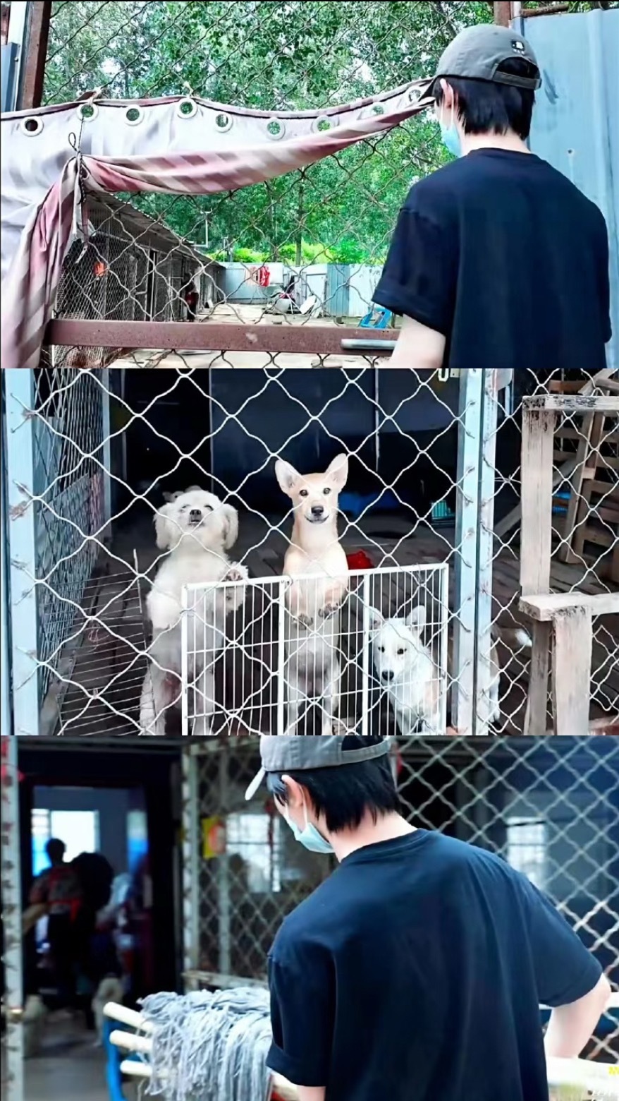 马嘉祺心愿是给救助站的猫狗粮食善意从来不分大小，一句想要各五十袋猫狗粮食，背后是