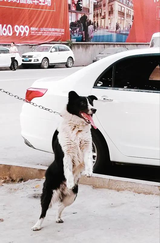 人固有一死,怎么不能活的潇洒些?
反正结局都一样，中间这段路走得憋屈还是痛快，全